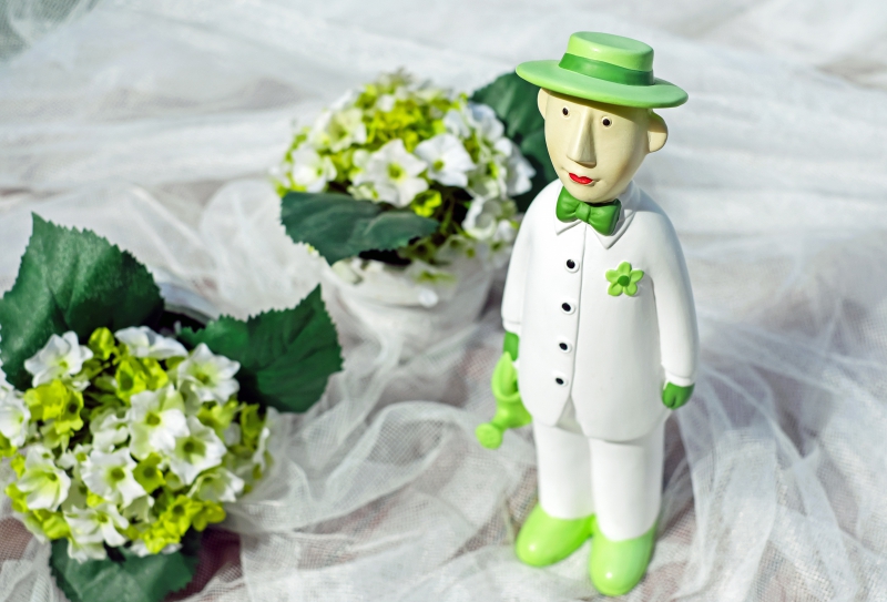 vitrine-CARROS-min_man-person-flower-green-toy-fig-546529-pxhere.com